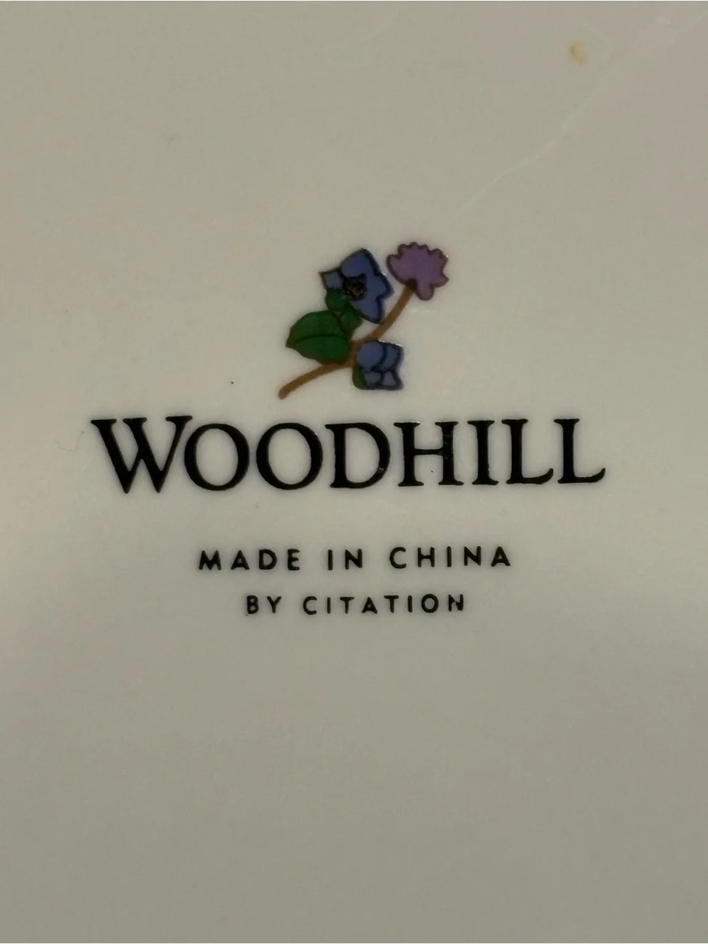 WoodHill By Citation Set Of 6 Floral Wild Flower Salad Dessert Plates 7 1/2”